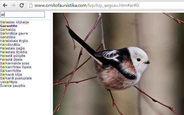 Latvijas Putni from Chrome web store to be run with OffiDocs Chromium online Latvijas Putni from Chrome web store to be run with OffiDocs Chromium online