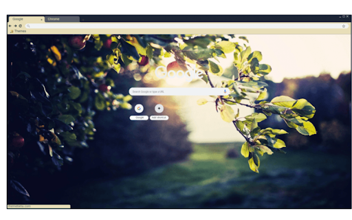 Leaves in dawn from Chrome web store to be run with OffiDocs Chromium online Leaves in dawn from Chrome web store to be run with OffiDocs Chromium online