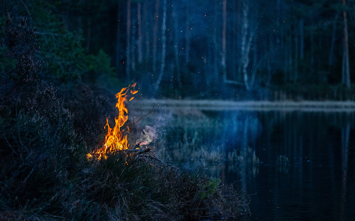 Light a fire in the forest from Chrome web store to be run with OffiDocs Chromium online Light a fire in the forest from Chrome web store to be run with OffiDocs Chromium online