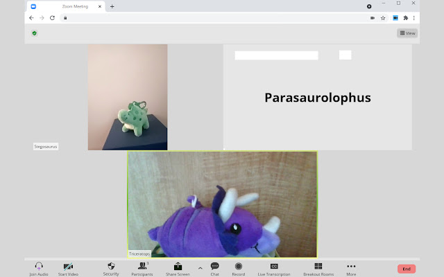 Light Mode for Zoom from Chrome web store to be run with OffiDocs Chromium online Light Mode for Zoom from Chrome web store to be run with OffiDocs Chromium online