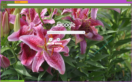 Lily from Chrome web store to be run with OffiDocs Chromium online Lily from Chrome web store to be run with OffiDocs Chromium online