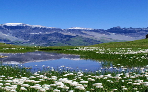 Lily of the valley wallpaper from Chrome web store to be run with OffiDocs Chromium online Lily of the valley wallpaper from Chrome web store to be run with OffiDocs Chromium online