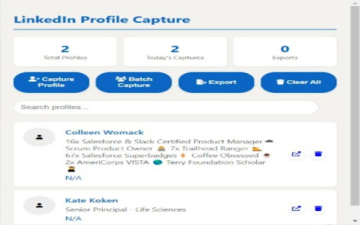 LinkedIn Profile Capture from Chrome web store to be run with OffiDocs Chromium online LinkedIn Profile Capture from Chrome web store to be run with OffiDocs Chromium online
