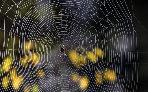 Little spider and big spider web from Chrome web store to be run with OffiDocs Chromium online Little spider and big spider web from Chrome web store to be run with OffiDocs Chromium online