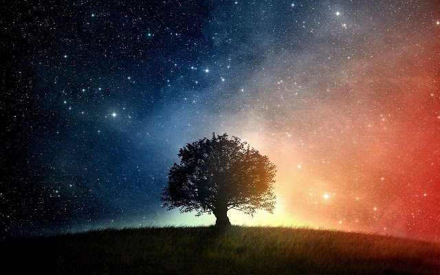 Lone Tree Stars from Chrome web store to be run with OffiDocs Chromium online Lone Tree Stars from Chrome web store to be run with OffiDocs Chromium online