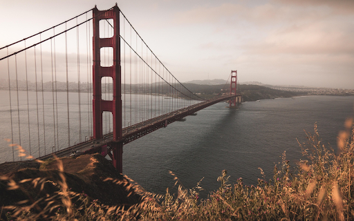 Long cable stayed bridge from Chrome web store to be run with OffiDocs Chromium online Long cable stayed bridge from Chrome web store to be run with OffiDocs Chromium online