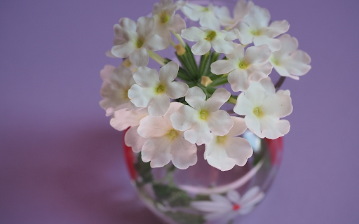 Lovely flower vase from Chrome web store to be run with OffiDocs Chromium online Lovely flower vase from Chrome web store to be run with OffiDocs Chromium online