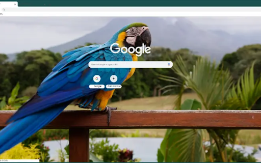 Macaw from Chrome web store to be run with OffiDocs Chromium online Macaw from Chrome web store to be run with OffiDocs Chromium online