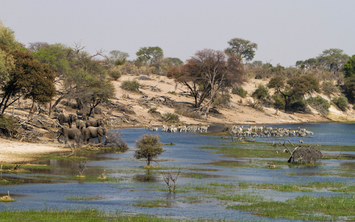 Makgadikgadi from Chrome web store to be run with OffiDocs Chromium online Makgadikgadi from Chrome web store to be run with OffiDocs Chromium online
