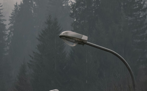 Moody Forest Scene with Silhouetted Streetlights from Chrome web store to be run with OffiDocs Chromium online Moody Forest Scene with Silhouetted Streetlights from Chrome web store to be run with OffiDocs Chromium online