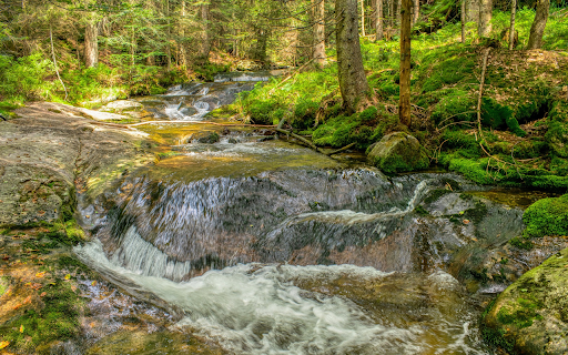 Mossy rock spring from Chrome web store to be run with OffiDocs Chromium online Mossy rock spring from Chrome web store to be run with OffiDocs Chromium online