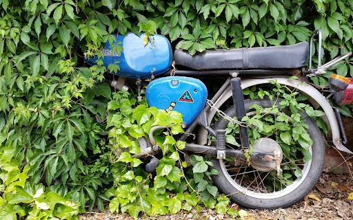 Motorcycle in the bushes from Chrome web store to be run with OffiDocs Chromium online Motorcycle in the bushes from Chrome web store to be run with OffiDocs Chromium online