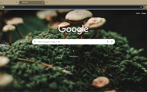 Mushrooms Among the Moss from Chrome web store to be run with OffiDocs Chromium online Mushrooms Among the Moss from Chrome web store to be run with OffiDocs Chromium online