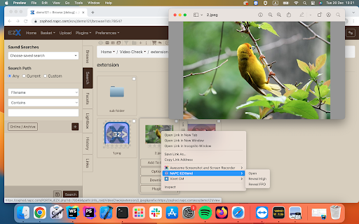 NAPC EZXtend from Chrome web store to be run with OffiDocs Chromium online NAPC EZXtend from Chrome web store to be run with OffiDocs Chromium online