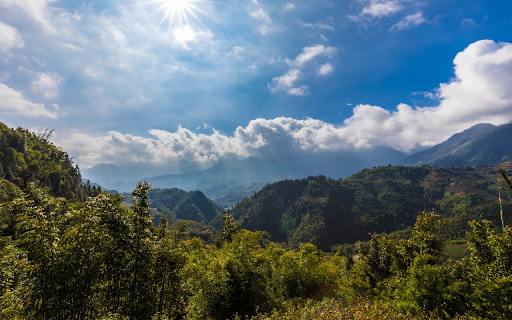 Natural forest from Chrome web store to be run with OffiDocs Chromium online Natural forest from Chrome web store to be run with OffiDocs Chromium online