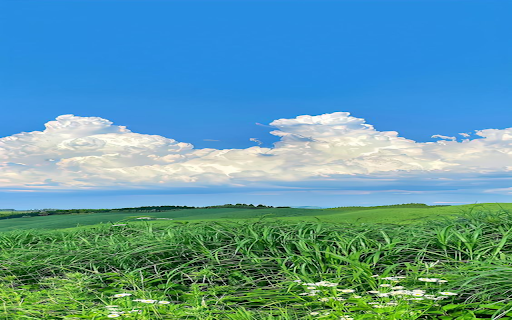 Natural landscape wallpaper from Chrome web store to be run with OffiDocs Chromium online Natural landscape wallpaper from Chrome web store to be run with OffiDocs Chromium online