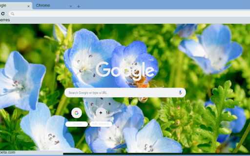 Nemophila from Chrome web store to be run with OffiDocs Chromium online Nemophila from Chrome web store to be run with OffiDocs Chromium online