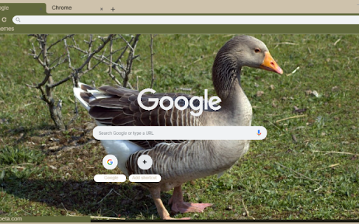 Ngong from Chrome web store to be run with OffiDocs Chromium online Ngong from Chrome web store to be run with OffiDocs Chromium online