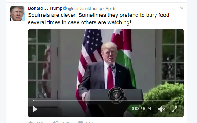 Nice Trump from Chrome web store to be run with OffiDocs Chromium online Nice Trump from Chrome web store to be run with OffiDocs Chromium online