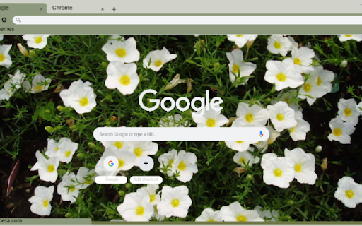 Nierembergia from Chrome web store to be run with OffiDocs Chromium online Nierembergia from Chrome web store to be run with OffiDocs Chromium online