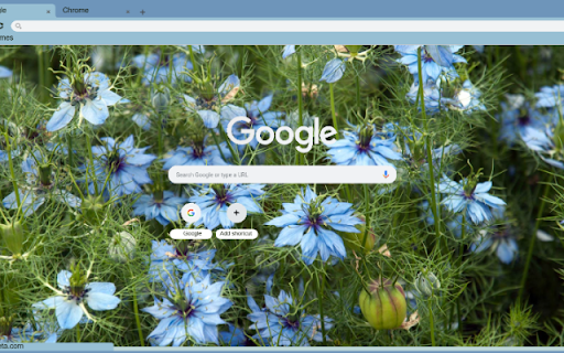 Nigella from Chrome web store to be run with OffiDocs Chromium online Nigella from Chrome web store to be run with OffiDocs Chromium online