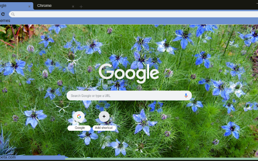 Nigella Damascena from Chrome web store to be run with OffiDocs Chromium online Nigella Damascena from Chrome web store to be run with OffiDocs Chromium online
