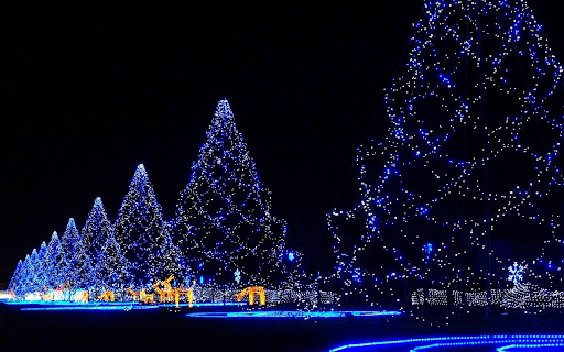 Night Christmas Decoration Browser Theme from Chrome web store to be run with OffiDocs Chromium online Night Christmas Decoration Browser Theme from Chrome web store to be run with OffiDocs Chromium online