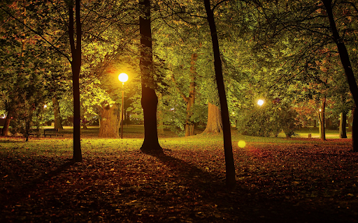 Night park from Chrome web store to be run with OffiDocs Chromium online Night park from Chrome web store to be run with OffiDocs Chromium online