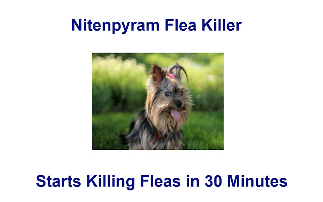 Nitenpyram Flea Killer from Chrome web store to be run with OffiDocs Chromium online Nitenpyram Flea Killer from Chrome web store to be run with OffiDocs Chromium online