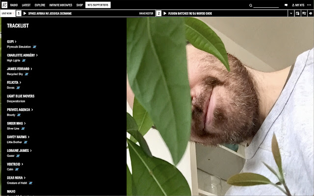 NTSxBandcamp from Chrome web store to be run with OffiDocs Chromium online NTSxBandcamp from Chrome web store to be run with OffiDocs Chromium online