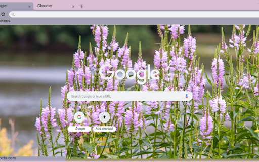Obedient Plant from Chrome web store to be run with OffiDocs Chromium online Obedient Plant from Chrome web store to be run with OffiDocs Chromium online