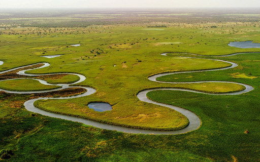 Okavango Delta from Chrome web store to be run with OffiDocs Chromium online Okavango Delta from Chrome web store to be run with OffiDocs Chromium online