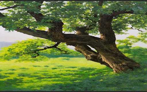 old tree wallpaper from Chrome web store to be run with OffiDocs Chromium online old tree wallpaper from Chrome web store to be run with OffiDocs Chromium online