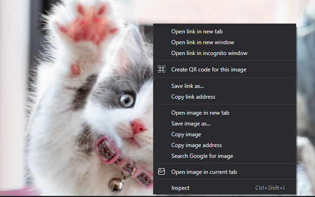 Open image in current tab from Chrome web store to be run with OffiDocs Chromium online Open image in current tab from Chrome web store to be run with OffiDocs Chromium online