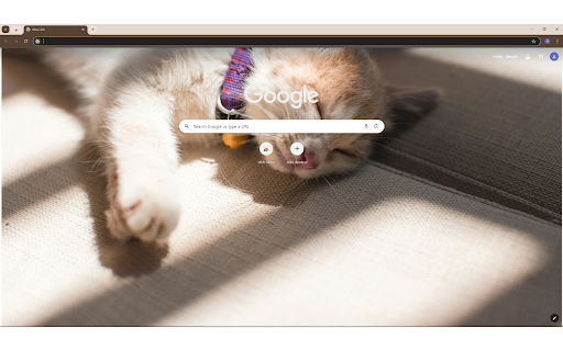 Orange Cat Sleeping on the Grey Surface from Chrome web store to be run with OffiDocs Chromium online Orange Cat Sleeping on the Grey Surface from Chrome web store to be run with OffiDocs Chromium online