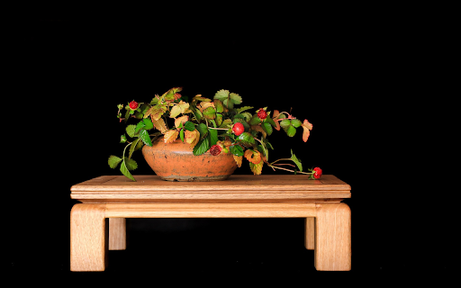 Ornamental strawberry pot from Chrome web store to be run with OffiDocs Chromium online Ornamental strawberry pot from Chrome web store to be run with OffiDocs Chromium online