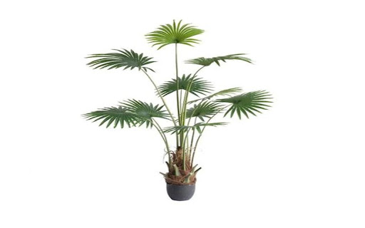 palm tree wallpaper from Chrome web store to be run with OffiDocs Chromium online palm tree wallpaper from Chrome web store to be run with OffiDocs Chromium online