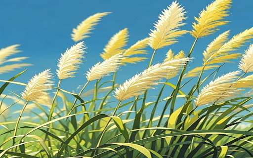 Pampas grass wallpaper from Chrome web store to be run with OffiDocs Chromium online Pampas grass wallpaper from Chrome web store to be run with OffiDocs Chromium online