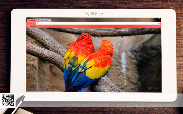 Parrots (Sielena theme) from Chrome web store to be run with OffiDocs Chromium online Parrots (Sielena theme) from Chrome web store to be run with OffiDocs Chromium online