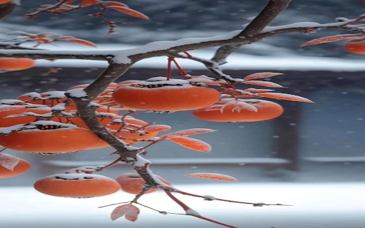 Persimmons in the snow Wallpaper from Chrome web store to be run with OffiDocs Chromium online Persimmons in the snow Wallpaper from Chrome web store to be run with OffiDocs Chromium online