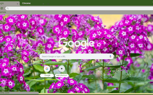 Phlox from Chrome web store to be run with OffiDocs Chromium online Phlox from Chrome web store to be run with OffiDocs Chromium online