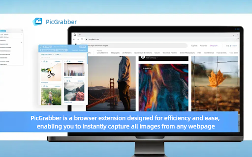 PicGrabber from Chrome web store to be run with OffiDocs Chromium online PicGrabber from Chrome web store to be run with OffiDocs Chromium online