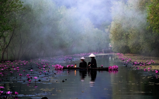 Picking flowers early in the morning from Chrome web store to be run with OffiDocs Chromium online Picking flowers early in the morning from Chrome web store to be run with OffiDocs Chromium online