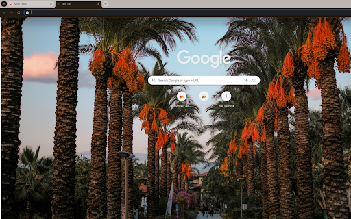 picturesque country road lined with palm trees from Chrome web store to be run with OffiDocs Chromium online picturesque country road lined with palm trees from Chrome web store to be run with OffiDocs Chromium online