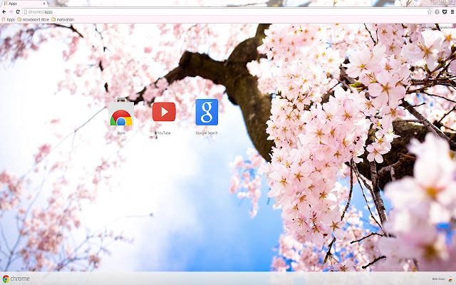 Pink Cherry Blossom Flowers from Chrome web store to be run with OffiDocs Chromium online Pink Cherry Blossom Flowers from Chrome web store to be run with OffiDocs Chromium online