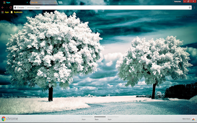 Pleasant Snow tree from Chrome web store to be run with OffiDocs Chromium online Pleasant Snow tree from Chrome web store to be run with OffiDocs Chromium online