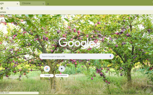 Plum Tree from Chrome web store to be run with OffiDocs Chromium online Plum Tree from Chrome web store to be run with OffiDocs Chromium online