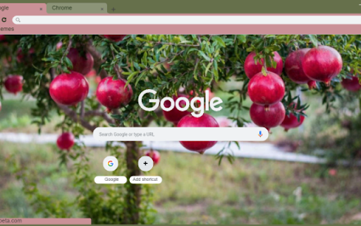 Pomegranate Tree from Chrome web store to be run with OffiDocs Chromium online Pomegranate Tree from Chrome web store to be run with OffiDocs Chromium online