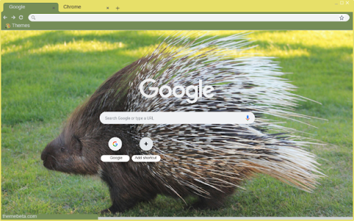 Porcupine from Chrome web store to be run with OffiDocs Chromium online Porcupine from Chrome web store to be run with OffiDocs Chromium online