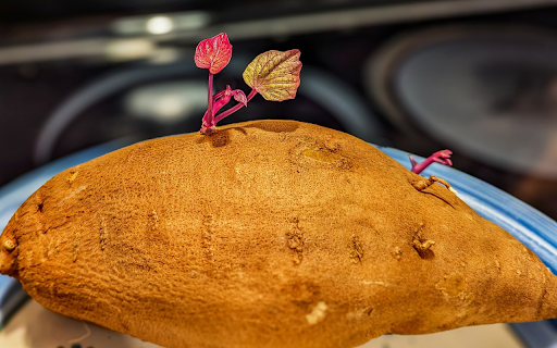 Potato tubers and purple sprouts from Chrome web store to be run with OffiDocs Chromium online Potato tubers and purple sprouts from Chrome web store to be run with OffiDocs Chromium online